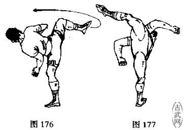 图176,177