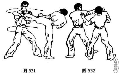 图531图532