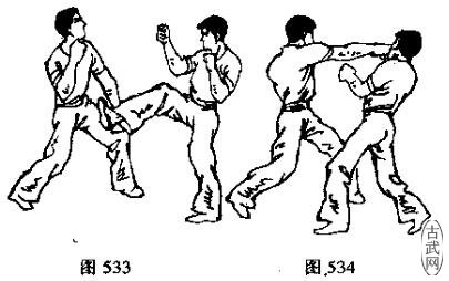 图533图534