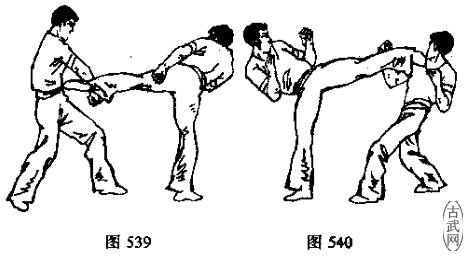 图539图540
