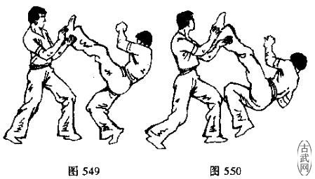 图549图550