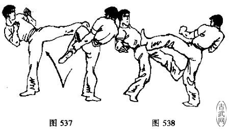 图537图538