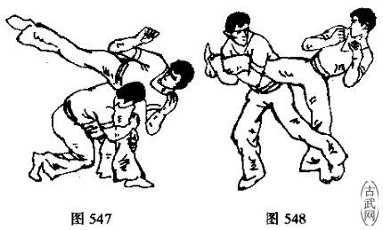 图547图548