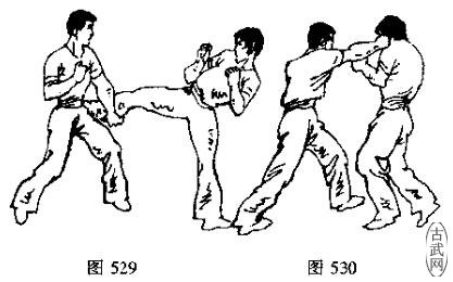 图529图530