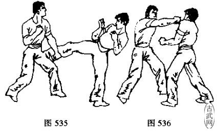 图535图536